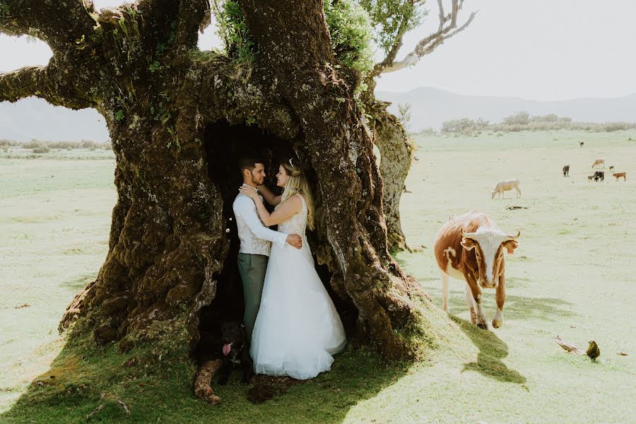 Fotógrafo de casamento Flávio Nunes (flavionunes). Foto de 4 de setembro 2022