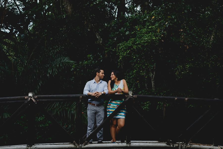 Wedding photographer Luis Castillo (luiscastillo). Photo of 13 January 2018