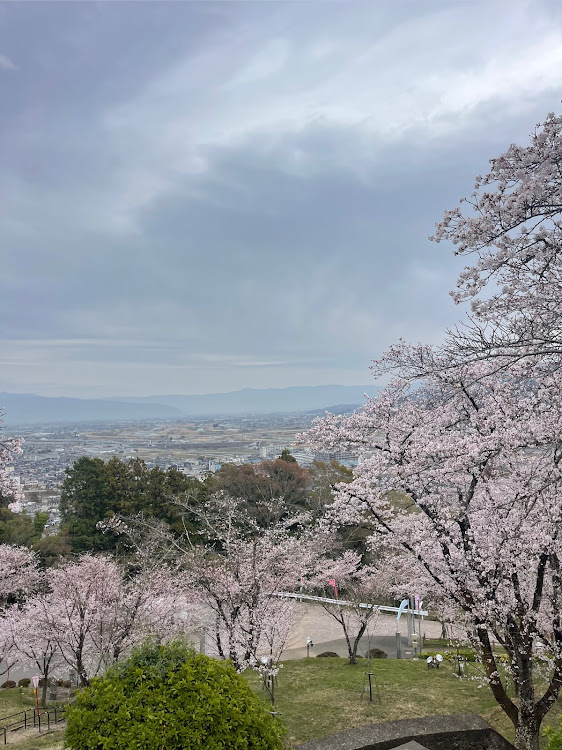 の投稿画像7枚目