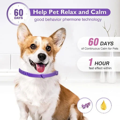 Dog Cat Flea and Tick Calming Pheromones Collar 3 Packs Lasts 60 Days Adjustable Comfortable Collar for Small Medium Lar