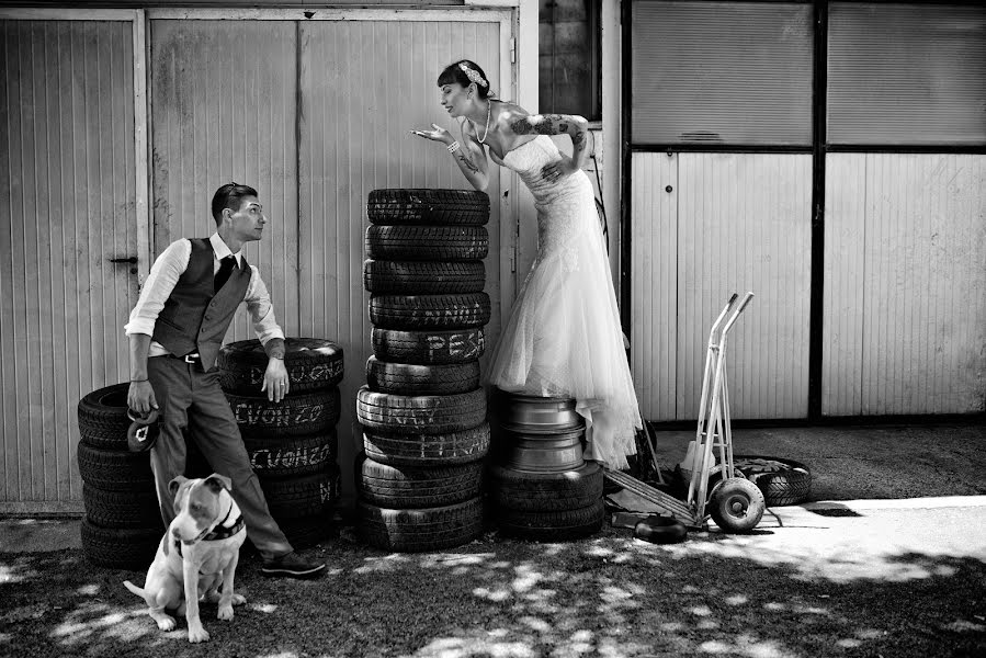 Wedding photographer Luca Cardinali (cardinali). Photo of 14 May 2019