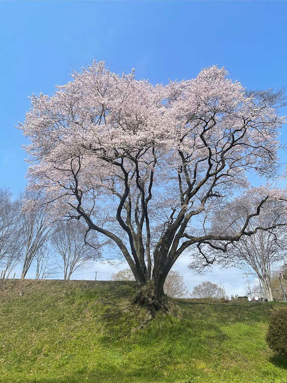 の投稿画像3枚目