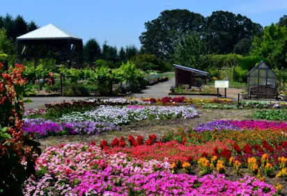 5 Beautiful Gardens To Visit In And Around Salem Oregon By The