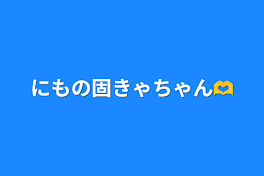 にもの固きゃちゃん‪🫶