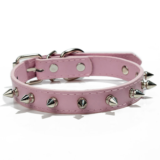 Title 7, Studded dog collar, fashionable, durable, high-...