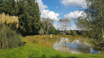 terrain à Brillac (16)