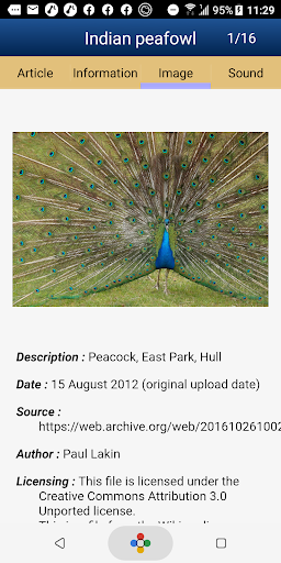 Birds of the Southern Asia