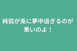 純弧が兎に夢中過ぎるのが   悪いのよ！