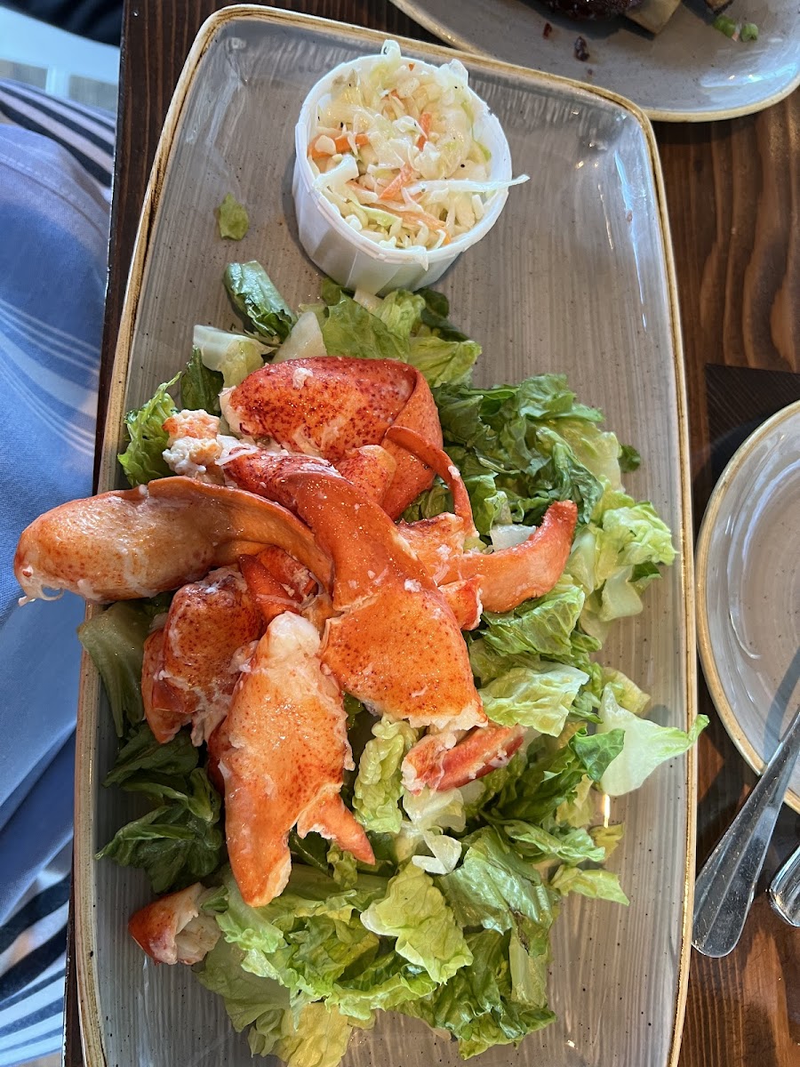 Supposedly GF Lobster Roll with hot lobster and butter. Not on gf bread, room temperature lobster, no butter, on a bed of chopped lettuce. Looks a lot like a salad to me. Was told "chef didn't think the fries were safe" so none were given to me.