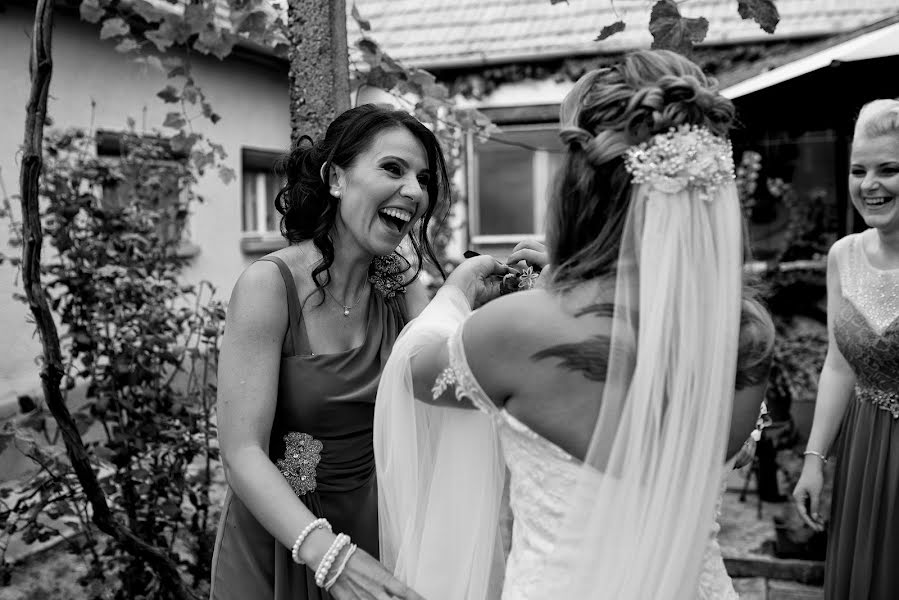 Fotógrafo de casamento Ioana Pintea (ioanapintea). Foto de 29 de setembro 2016