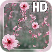 Cherry Blossom Live Wallpaper - Android Apps on Google Play