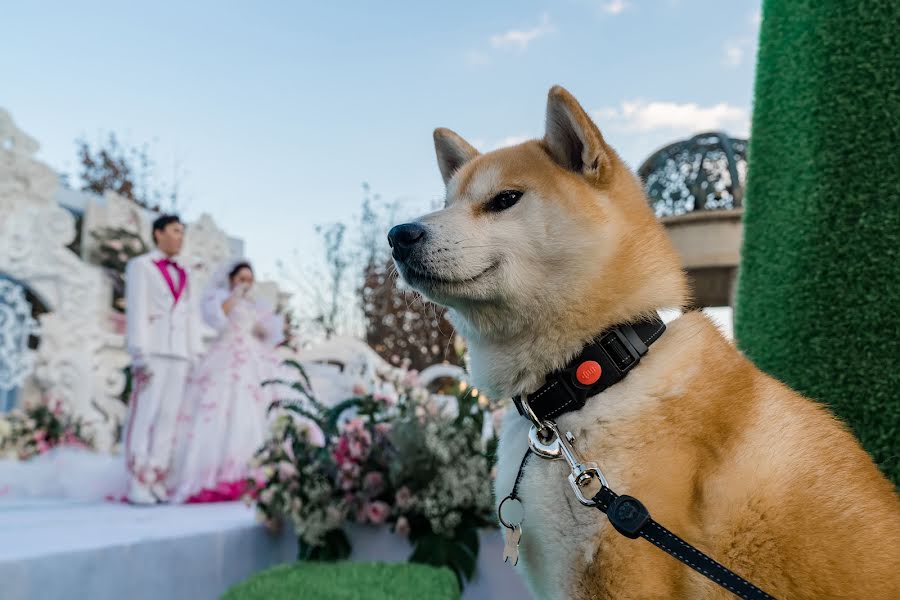 Wedding photographer Lei Liu (liulei). Photo of 1 November 2022