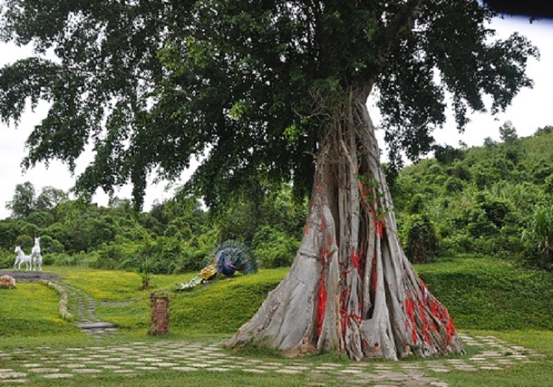 cong-vien-yang-bay