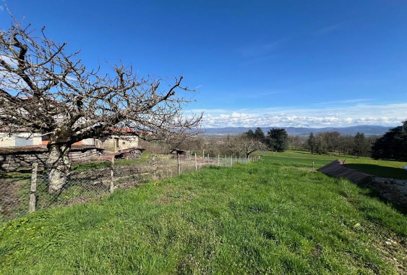  Vente Terrain à bâtir - à Meximieux (01800) 