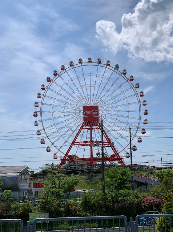 の投稿画像6枚目