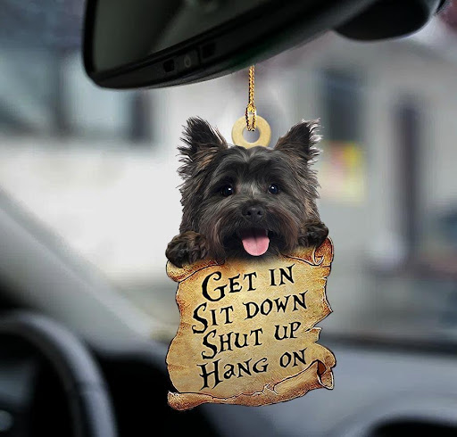 Title 5, Car Pendant Sleeping Dog Angel Home Decor Acryl...