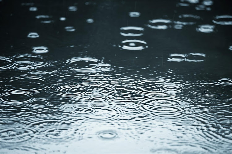 Close-up of a puddle with rain drop ripples