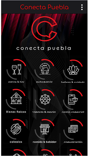 Conecta Puebla