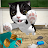 Cat Simulator - and friends 🐾 v4.4.3 (MOD, Unlocked) APK