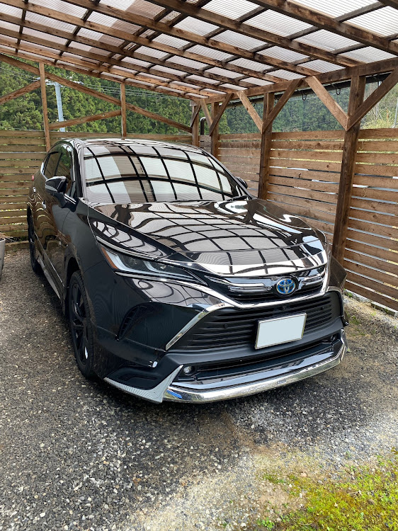 Cクラスの地元のさくら・春の風物詩と愛車・桜コラボ・納車おめでとう・車がある生活に関するカスタム事例の投稿画像4枚目