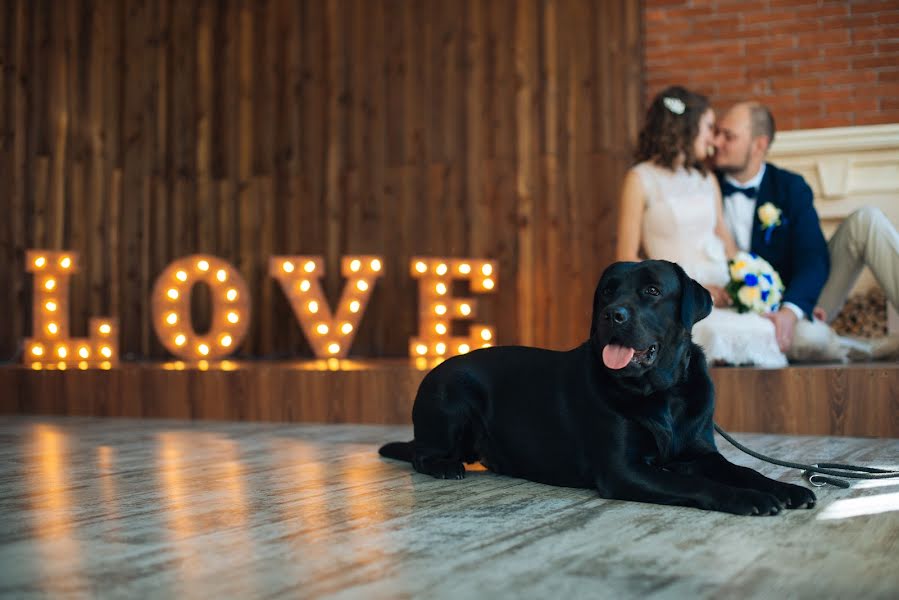 Fotógrafo de casamento Anastasiya Lyalina (lyalina). Foto de 7 de novembro 2016