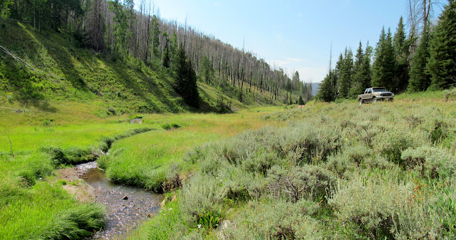 Nuck Woodward Canyon