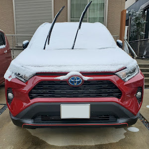 RAV4 AXAH52