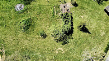 terrain à Saint-verand (38)