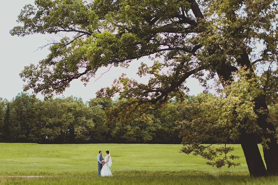 Wedding photographer Dmitriy Tolmachev (dimtol). Photo of 19 August 2014