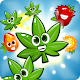 Download Weed Blast For PC Windows and Mac 