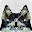 Siberian Husky ART HD Free PIN Lock Screen Download on Windows