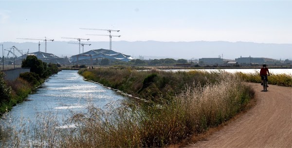 Bay view in the distance, and a bike rider on a long trail in the foreground, riding along marshland.