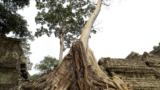 Cambodia 2016