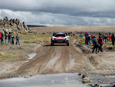 Carlos Sainz triomfeert voor tweede keer in Dakar-rally, Belg Tom Colsoul mooi vijfde in eindstand