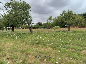 terrain à Baugé-en-Anjou (49)