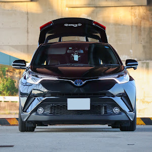 C-HR ZYX10