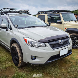 XV