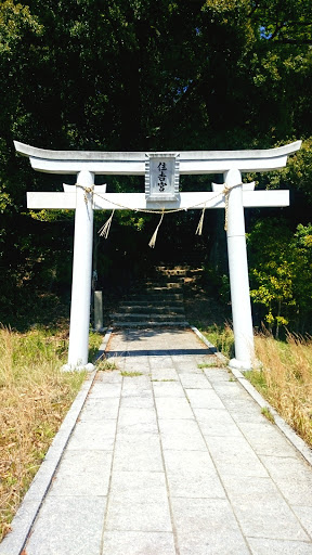 住吉神社鳥居