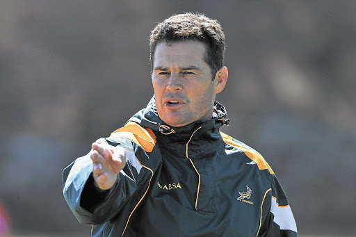 Rassie Erasmus. File picture