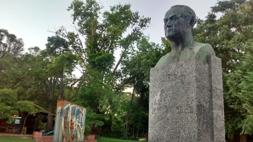 Busto De Jerónimo Zolesi