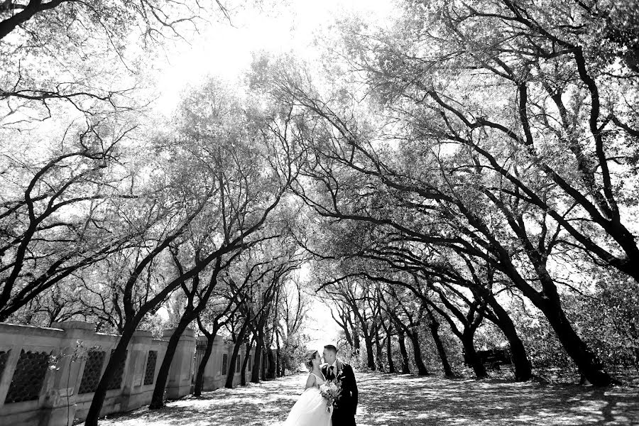 Fotografo di matrimoni Alessandro Spagnolo (fotospagnolonovo). Foto del 8 luglio 2022