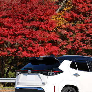 ヤリスクロス MXPJ15