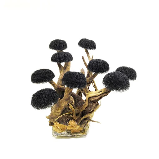 Fish Tank Landscaping Wood Water Plant Root Driftwood Tree Aquatic Plants Aquarium Grass Decorations Accessories (No Mos