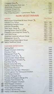 Spring Onion menu 2