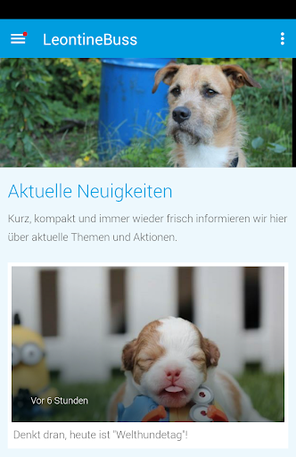 Berliner Hundetraining