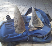 A 25-year-old man was arrested in Modimolle on Friday morning after being found in possession of two rhino horns.