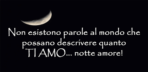 Buonanotte Amore Frasi