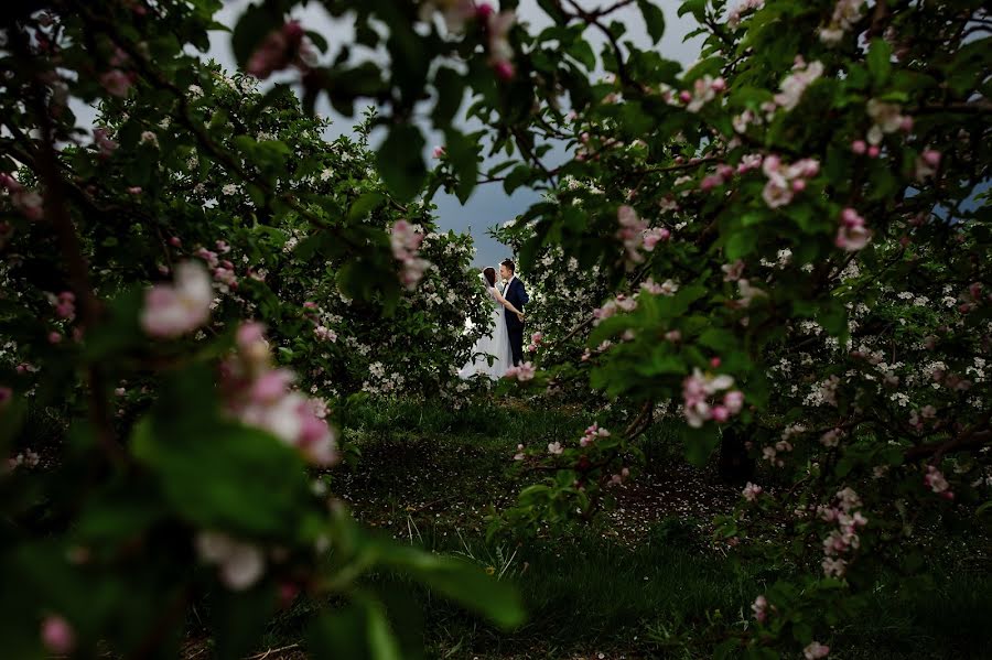 結婚式の写真家Maciek Januszewski (maciekjanuszews)。2017 6月18日の写真