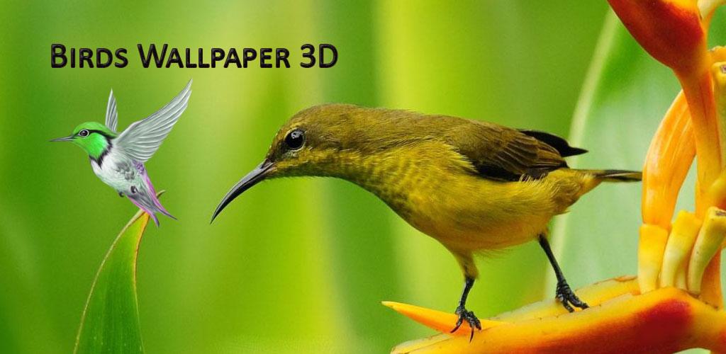 Flying Birds 3d Live wallpaper - Latest version for Android - Download APK