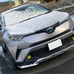 C-HR ZYX10